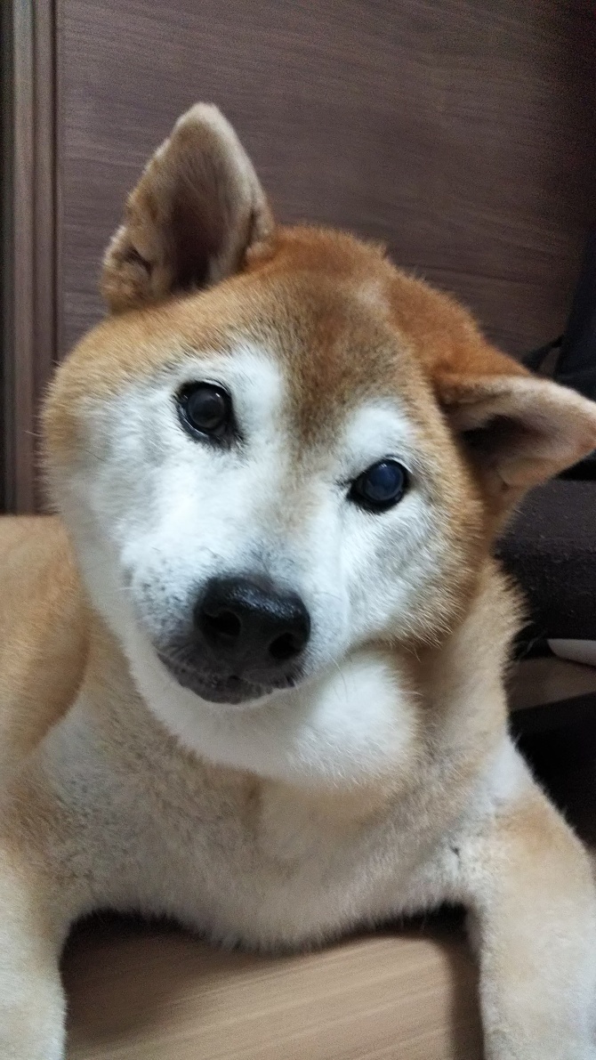 思い出