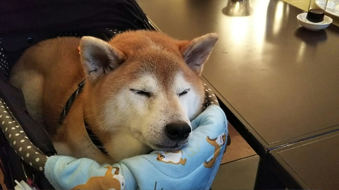 思い出