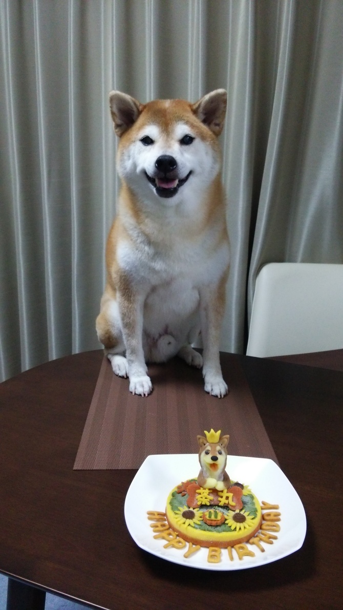 思い出